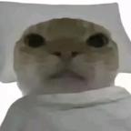 充500粉头像