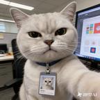 一只猫头像