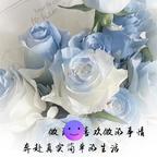 夏暮头像