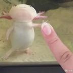 用户名83990897头像