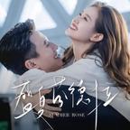 永不后悔头像