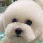 木子4658头像