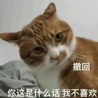 百事可乐头像