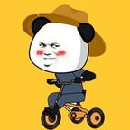 爱看熊猫头🐼头像