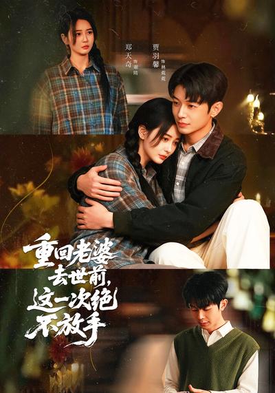 重回老婆去世前，这一次绝不放手 - 在线观看