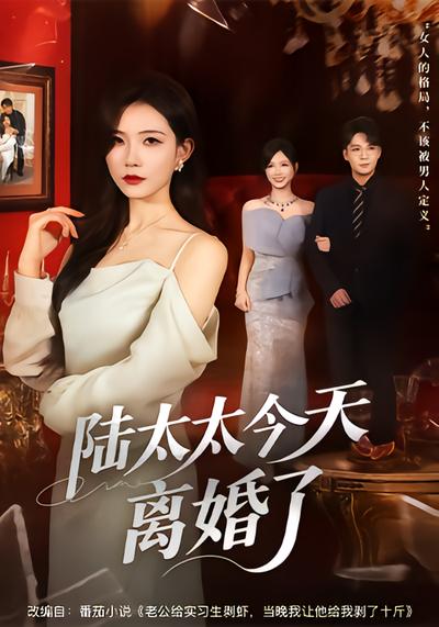 陸太太今天離婚了