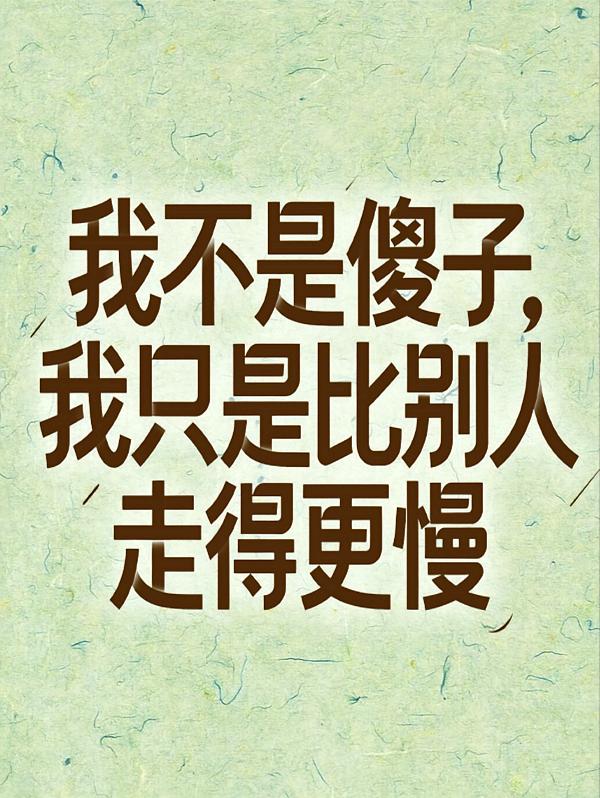 大智逆袭！傻小子的人生路