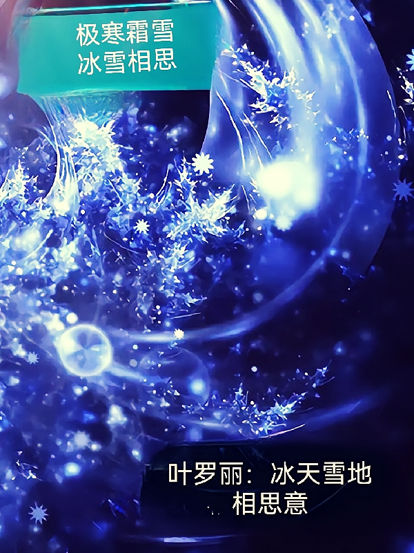 叶罗丽：冰天雪地相思意