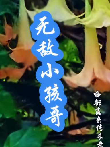 无敌小孩哥