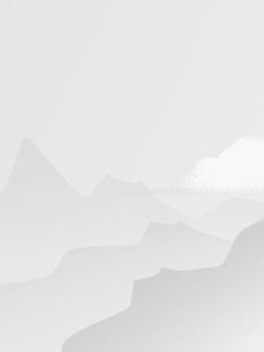我把留守村打造成了首富村